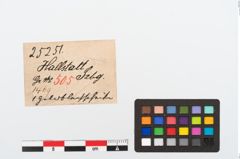 Etikett zu Goldzierblech (NHMW-PRAE-025251)